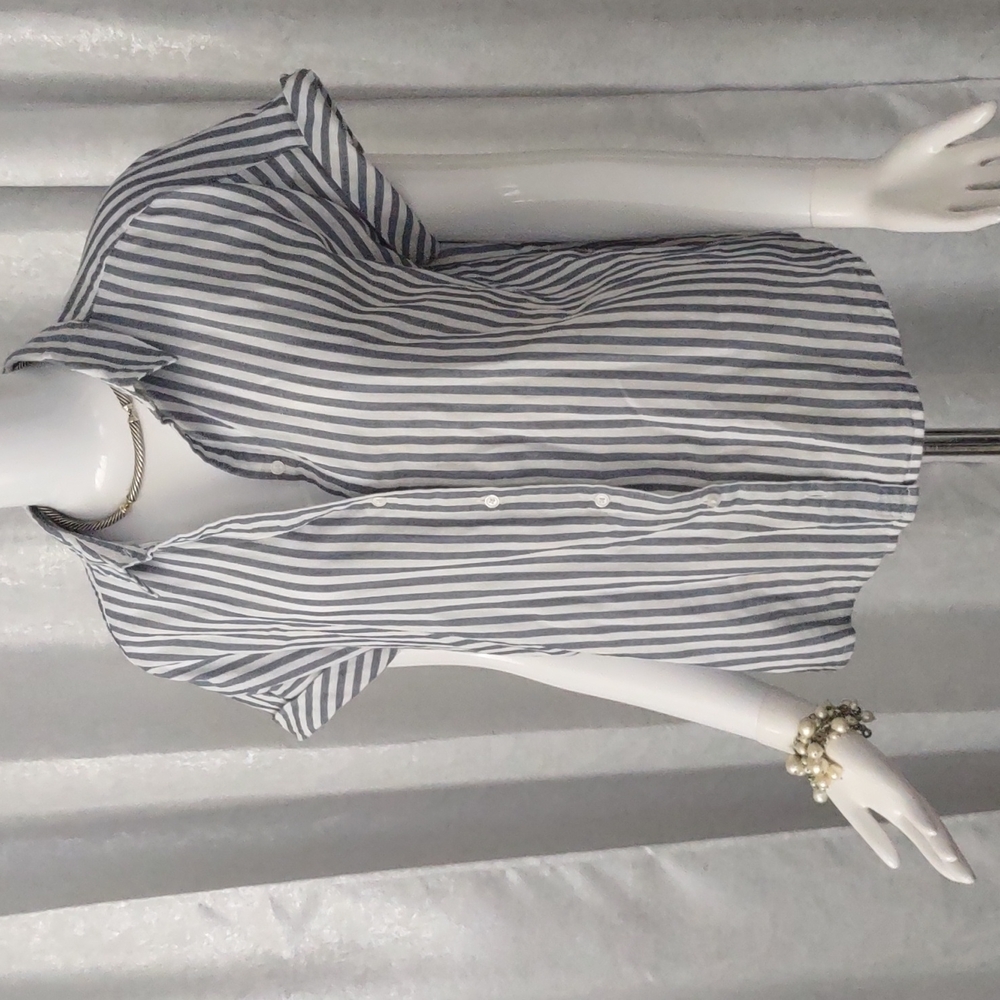 Banana Republic Blue and White Striped Button Down Shirt